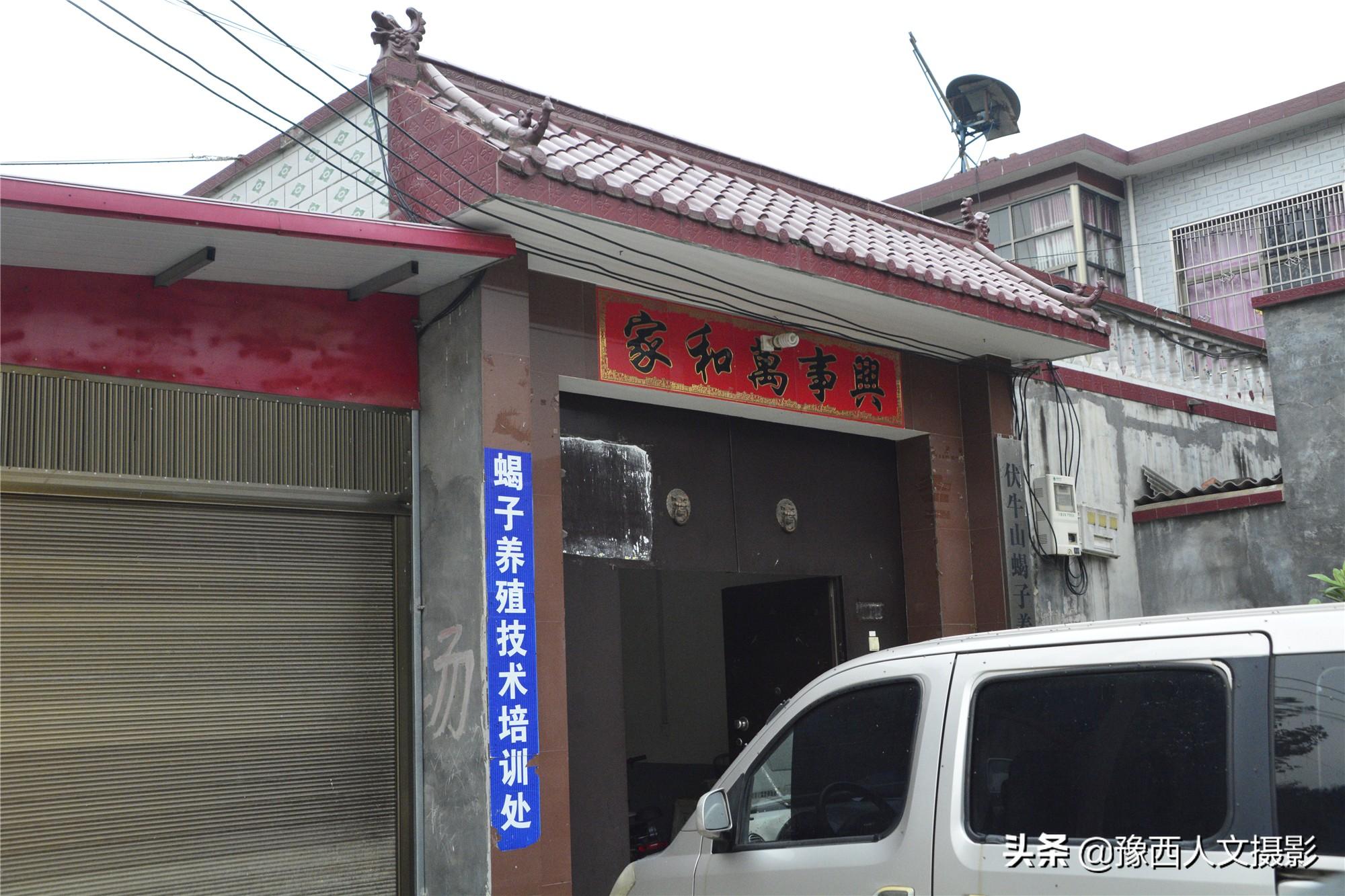 中央7套致富经养蝎子_致富经养蝎子的女人农广天地_致富经养蝎子视频大全