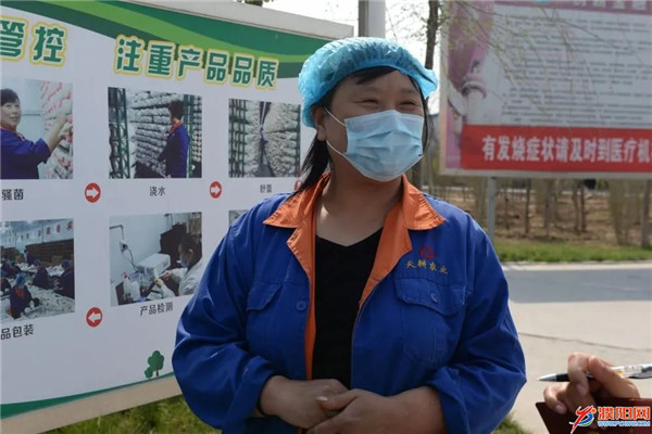 濮阳县胡状镇：小菌菇产下扶贫大产业