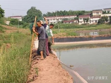 村民养殖致富图片_致富养殖信息_致富养殖村民图片高清