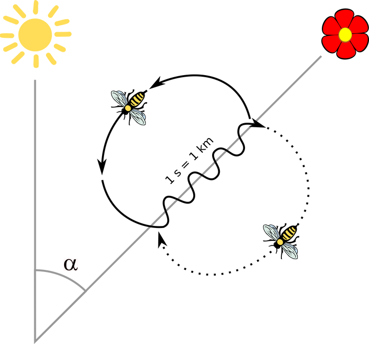 视频致富养殖马蜂骗局_养殖马蜂赚钱吗_马蜂养殖视频致富经