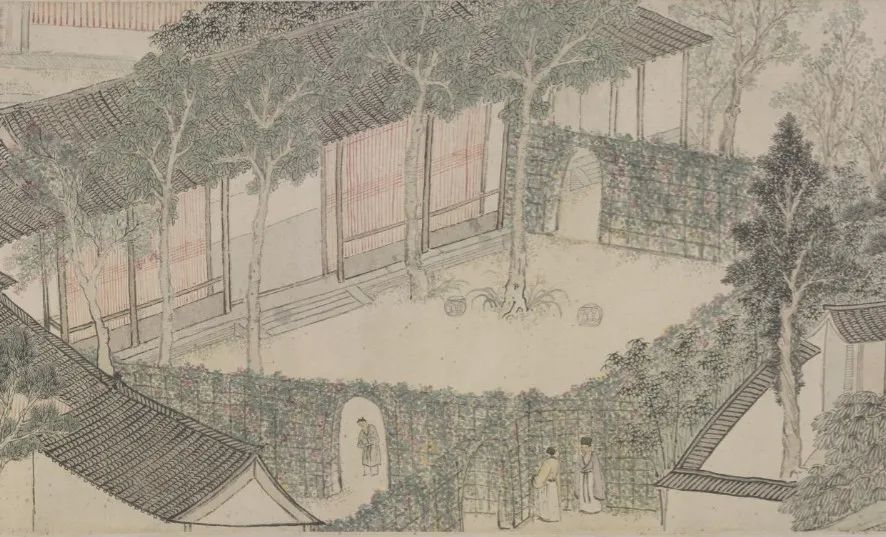 周稔丰五禽戏视江频_香花种植技术视一频_香花怎么种视频