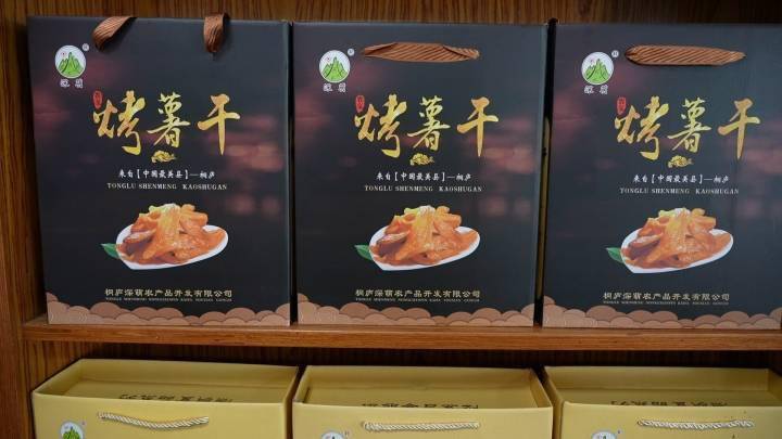 地瓜叶种植致富_地瓜叶种植_地瓜叶种植技术南方蔬菜