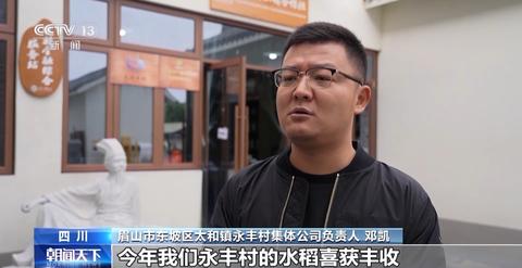 种植泽泻一亩效益_泽泻的种植条件和技术_种植泽泻 致富增收