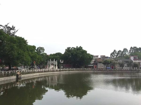 莆田种植致富_莆田适合种植什么水果_莆田蔬菜种植基地