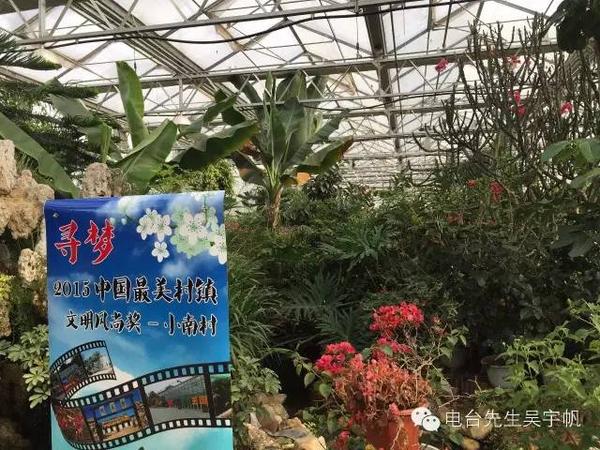 莆田适合种植什么水果_莆田蔬菜种植基地_莆田种植致富