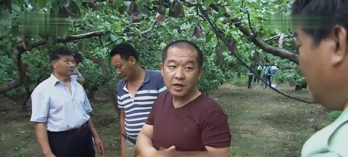 cctv7 致富经全集金蝉_cctv7致富好项目_cctv7致富經