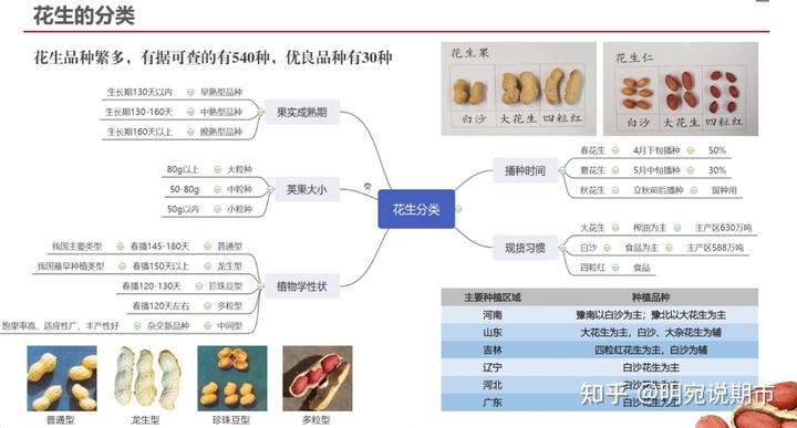 花生致富种植方法_花生种植效益_花生种植如何致富