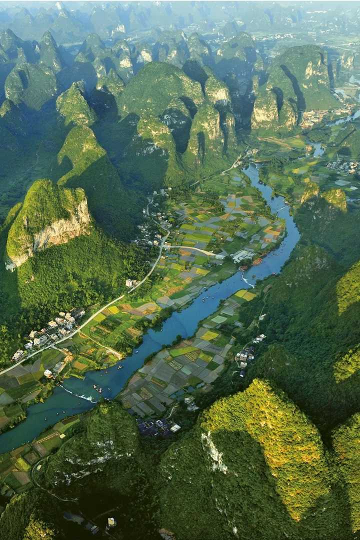 适合莆田种植的果树_莆田种植致富_莆田种地