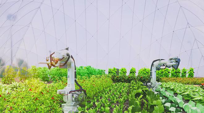 冬天大棚种菜技术视频_冬季大棚_大棚冬季种植技术视频