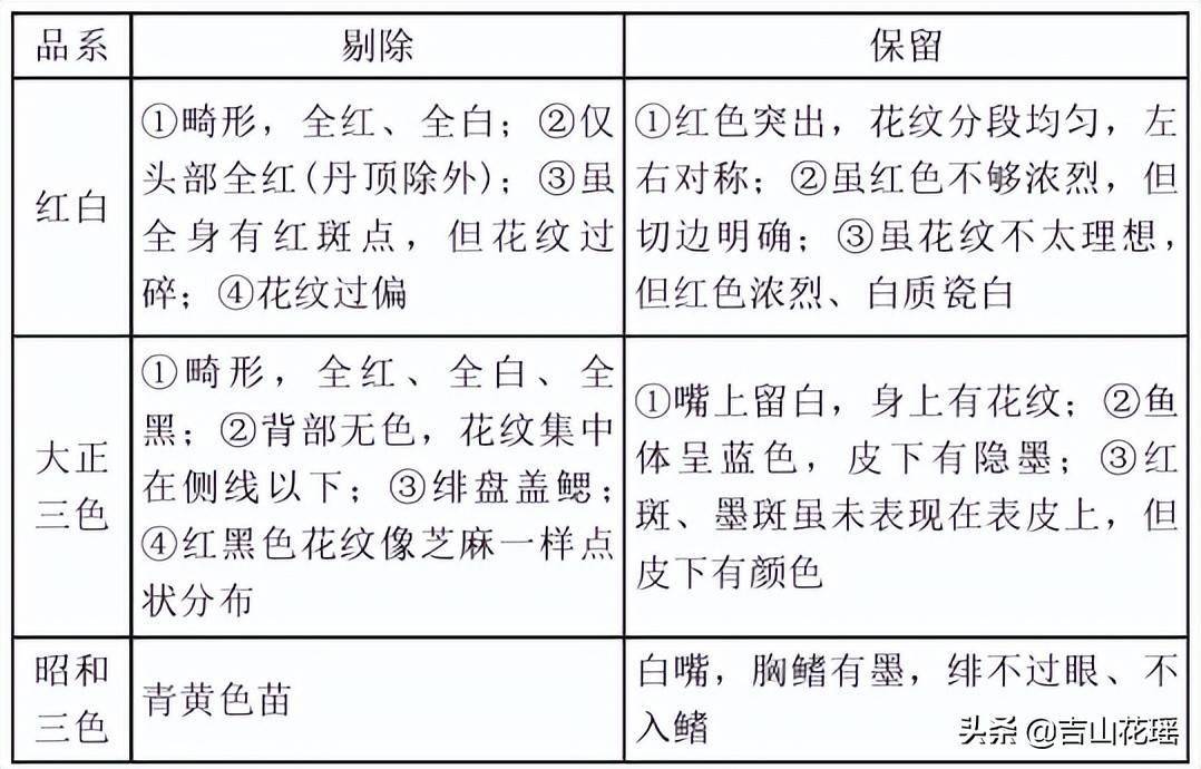 养殖红白锦鲤日本技术如何_日本红白锦鲤养殖技术_养殖红白锦鲤日本技术怎么样