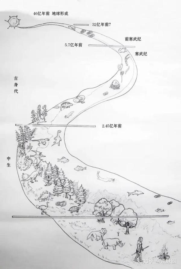致富经哪一期养牦牛_养牦牛赚钱吗_牦牛养殖成功案例