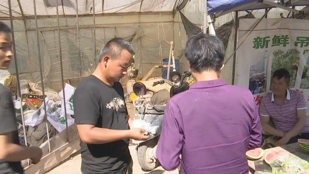 农村致富果种植_农民种植致富_农村致富新项目种植