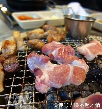 致富经散养猪视频_散养黑猪 致富经_致富经黑猪