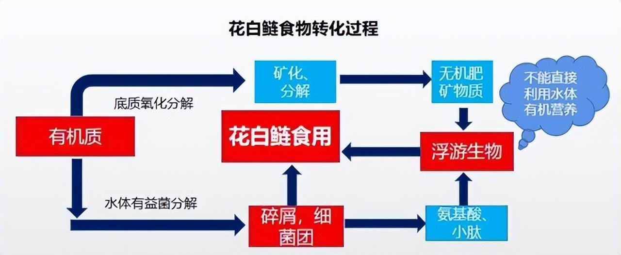 江河鱼养殖致富_致富江河养殖鱼图片_致富经水库养鱼