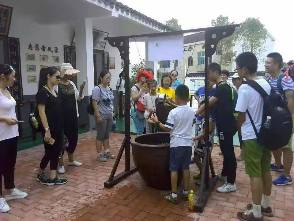 党员种植葡萄致富_致富经种葡萄全视频_致富经种植葡萄视频