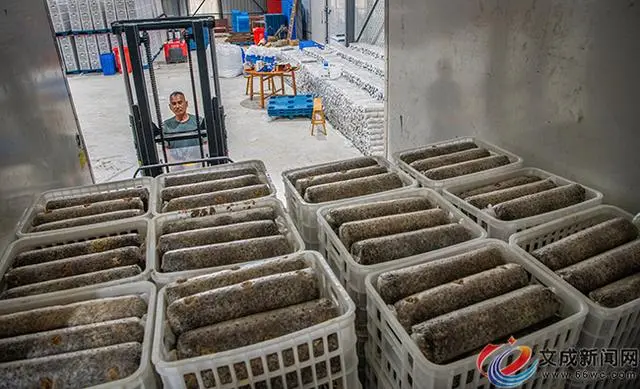 致富经视频故事_视频致富故事完整版_视频致富经