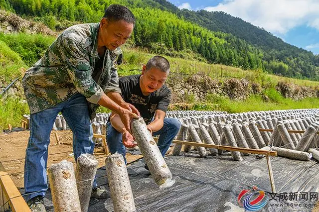 视频致富经_视频致富故事完整版_致富经视频故事