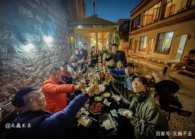 麻鸭户外养殖技术和管理_露天养殖麻鸭技术_麻鸭养殖技术视频