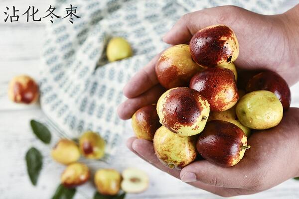 为什么沾化冬枣那么贵
