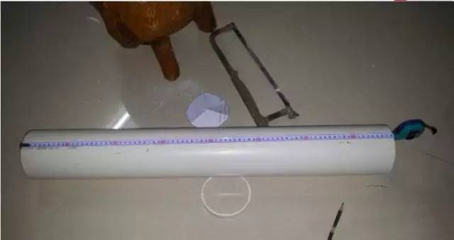 阳台蔬菜种植技术与管理_阳台蔬菜种植方法_阳台蔬菜种植技术