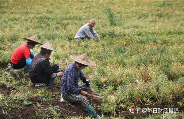 追溯对企业和产业是一次自我升级