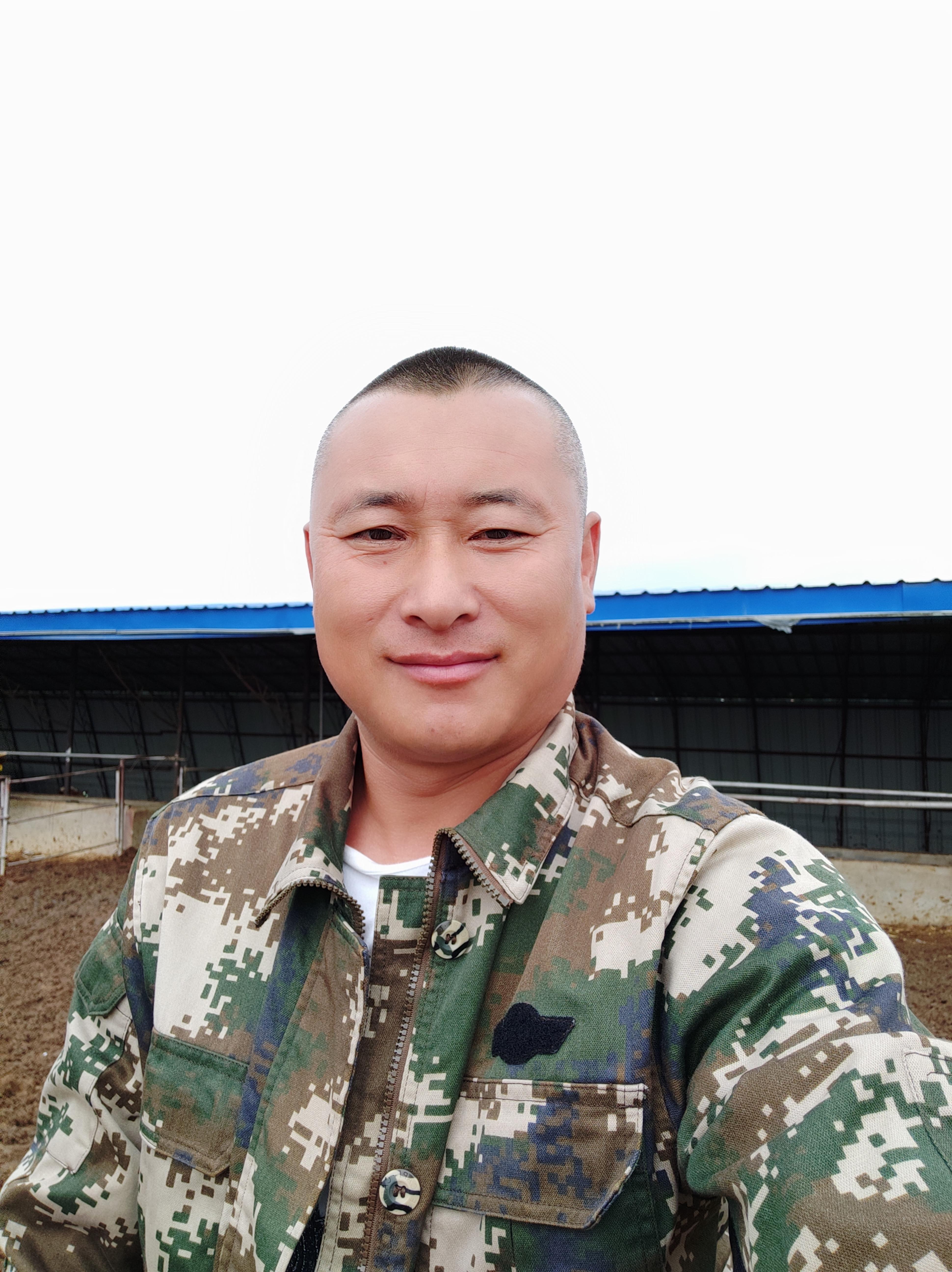 致富经牛养殖视频_牛致富经_致富经下脚料喂牛