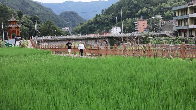 致富养殖青田项目有哪些_青田养殖致富项目_青田养殖业