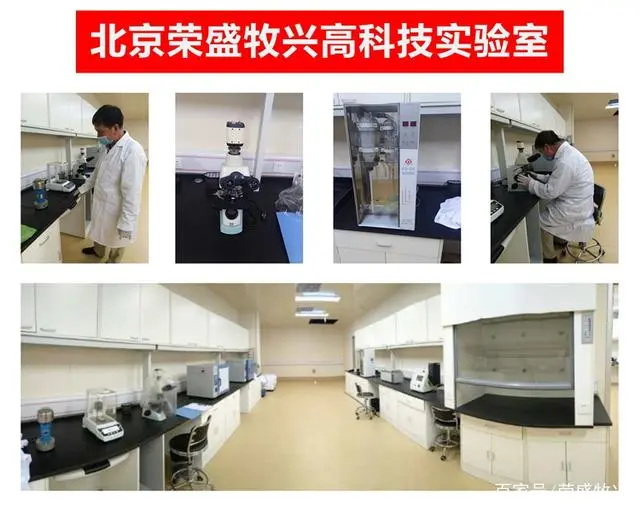 貉子养殖前景_养殖貉子图片大全_貉子养殖技术与管理