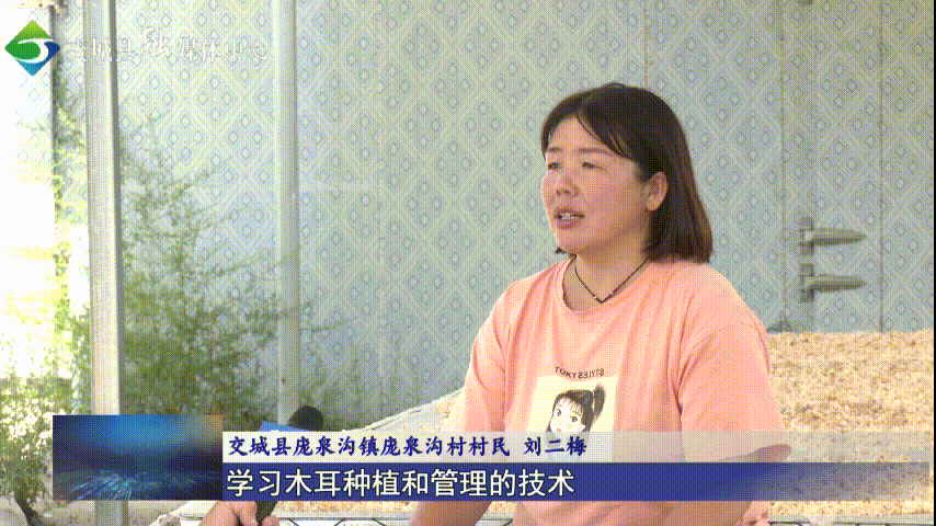 致富木耳种植技术视频_木耳种植技术和成本_种植木耳致富