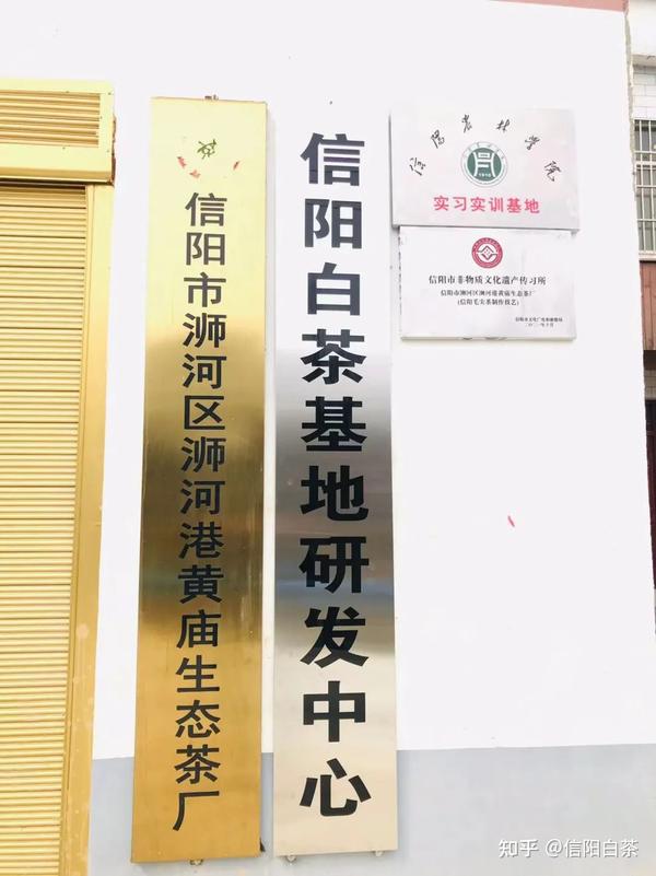 致富种植茶农项目简介_茶农种植致富项目_农村种植茶叶赚钱吗