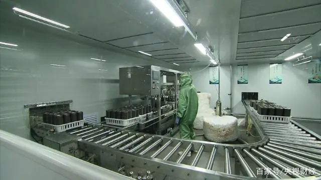 木耳种植技术和成本_种植木耳致富_木耳种植效益