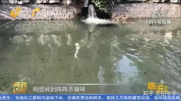 山东的海棠花_央视致富经山东临沂海棠花_临沂海棠花基地