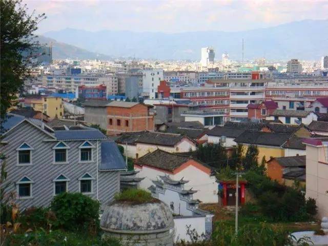 致富养殖麂子图片_养殖麂子需要什么条件_麂子养殖致富