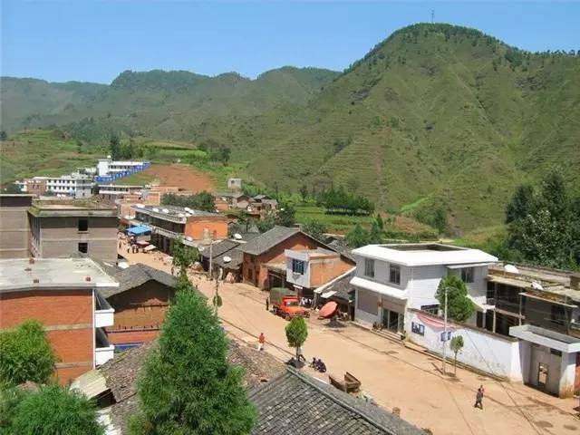致富养殖麂子图片_麂子养殖致富_养殖麂子需要什么条件