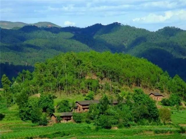 养殖麂子需要什么条件_麂子养殖致富_致富养殖麂子图片