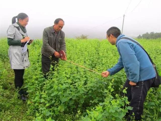 养殖麂子需要什么条件_麂子养殖致富_致富养殖麂子图片