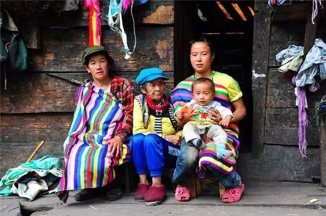 养殖麂子需要什么条件_致富养殖麂子图片_麂子养殖致富