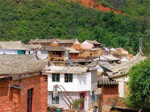 致富养殖麂子图片_麂子养殖致富_养殖麂子需要什么条件