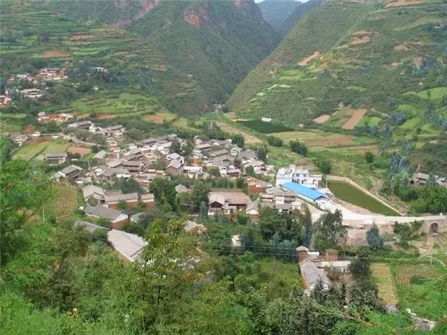 麂子养殖致富_养殖麂子需要什么条件_致富养殖麂子图片