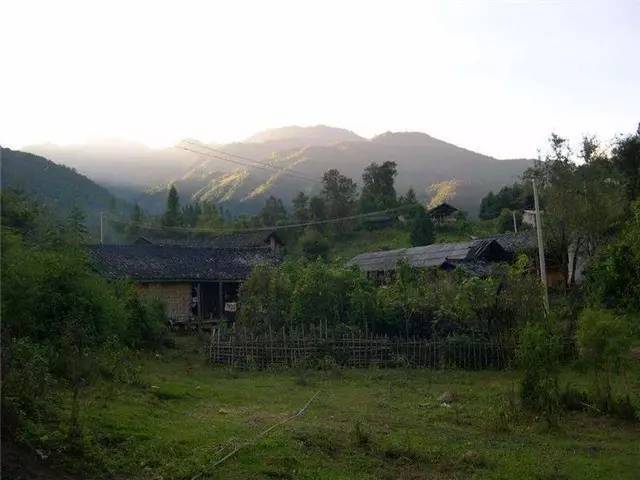 养殖麂子需要什么条件_致富养殖麂子图片_麂子养殖致富