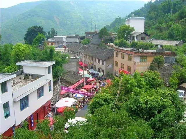 致富养殖麂子图片_麂子养殖致富_养殖麂子需要什么条件