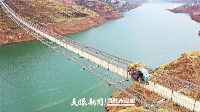 养殖麂子需要什么条件_麂子养殖致富_麂子养殖成本和利润