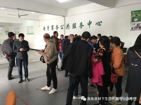 配方养殖散养鸡技术要求_怎样养殖散养鸡_散养鸡技术与养殖配方