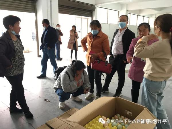 怎样养殖散养鸡_散养鸡技术与养殖配方_配方养殖散养鸡技术要求