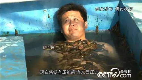 致富养殖好项目大全_养马致富经_致富经蚂蟥养殖技术