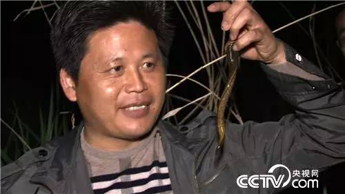 养马致富经_致富养殖好项目大全_致富经蚂蟥养殖技术