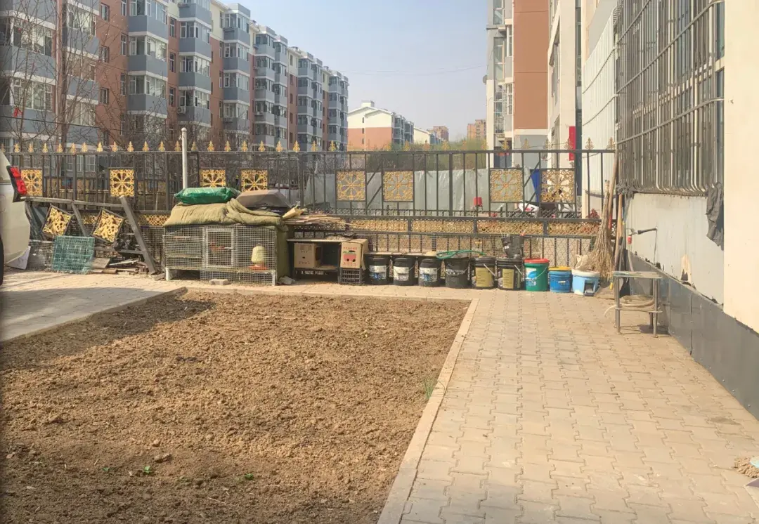 畜禽养殖小区_小区饲养活禽_家禽养殖致富小区