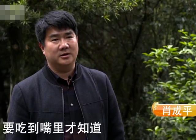 致富经草料喂猪_喂猪专用草_种草喂猪致富视频