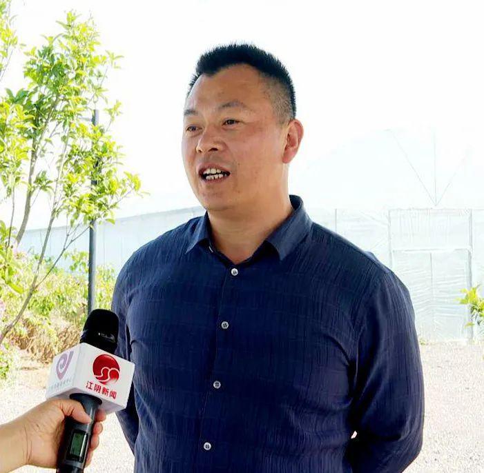 致富种植桑果图片_致富经桑果种植_致富种植桑果树视频