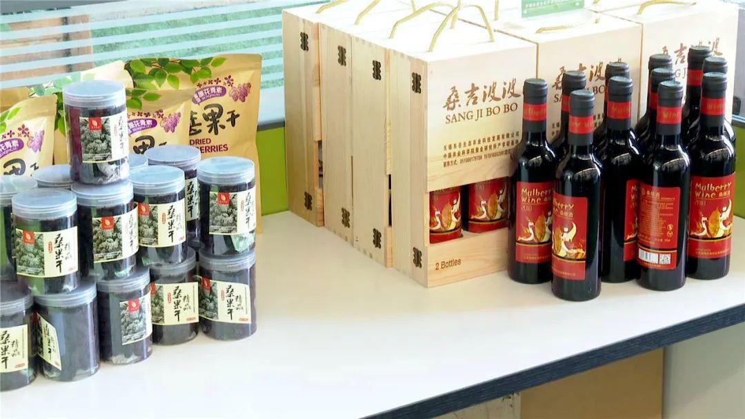 致富种植桑果树视频_致富种植桑果图片_致富经桑果种植
